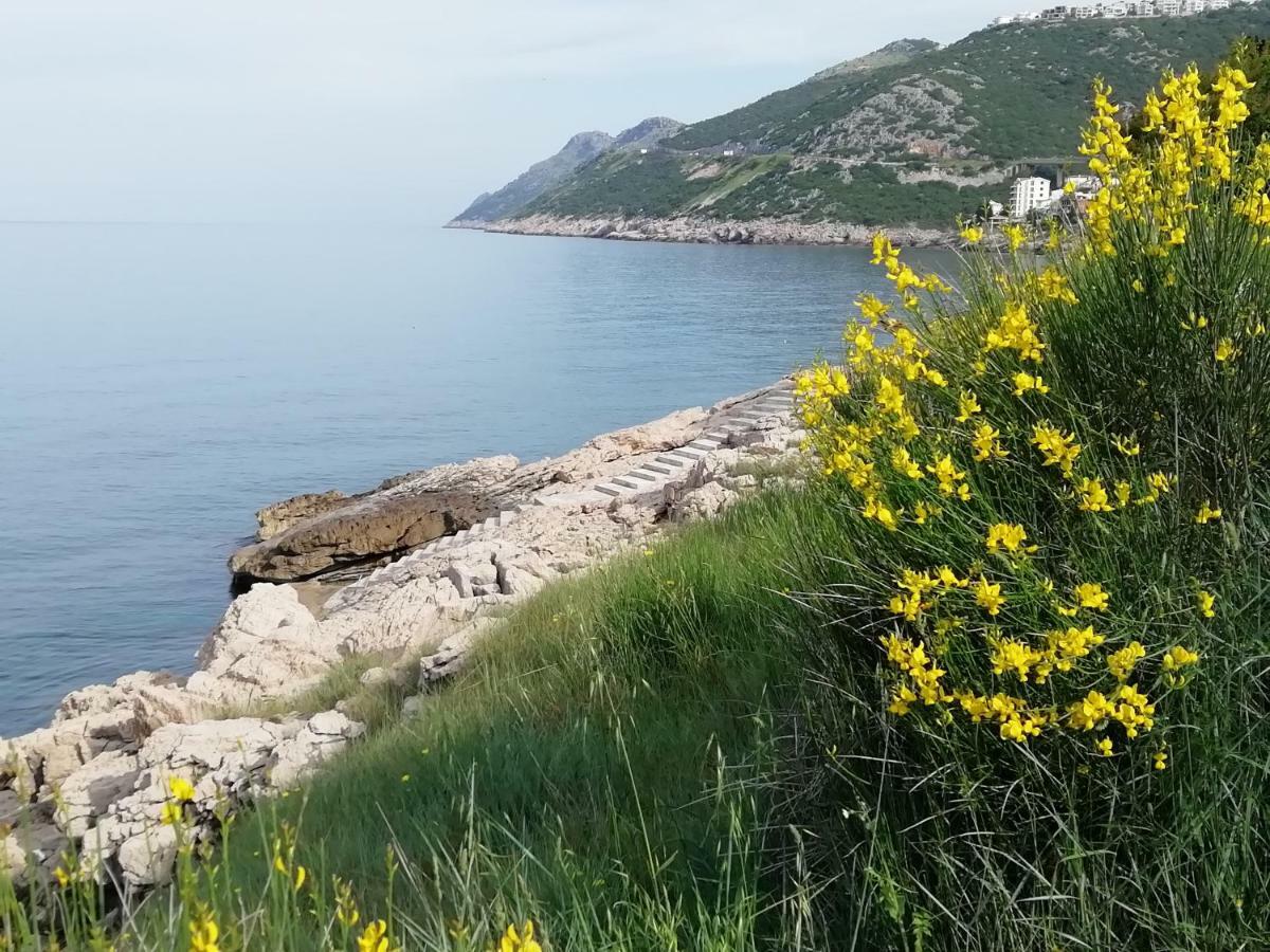 Apartman Marinkovic Добра вода Екстериор снимка